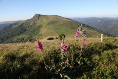 Tourismus in der Region Grand Est