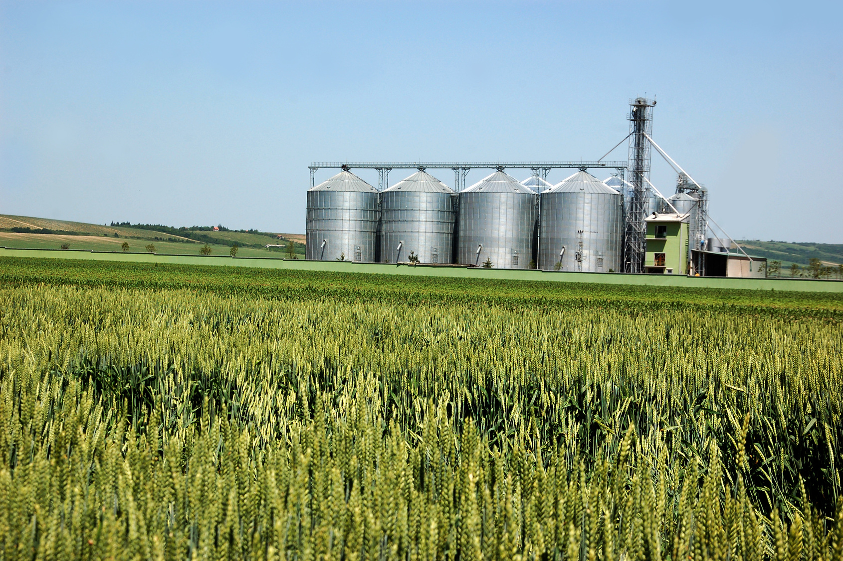 The Bioeconomy