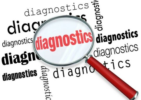 Diagnostic des bâtiments publics et associatifs