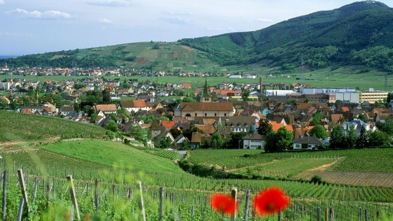 (Re)trouvez l’actualité au cœur des ruralités !