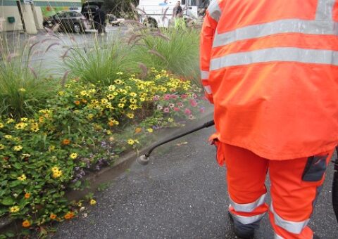 Élaboration d’un plan de gestion différenciée des espaces ouverts aux publics : acquisition de plants et matériel de désherbage