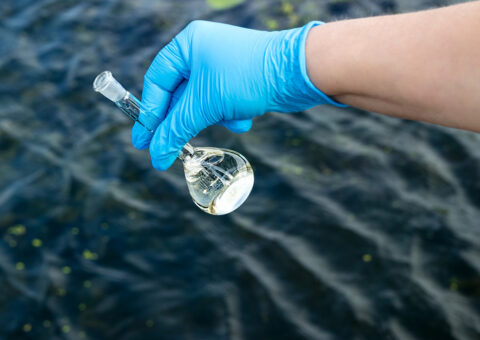 Acquisition de connaissances et développement d’outils de gestion pour la protection des ressources en eau et des milieux aquatiques