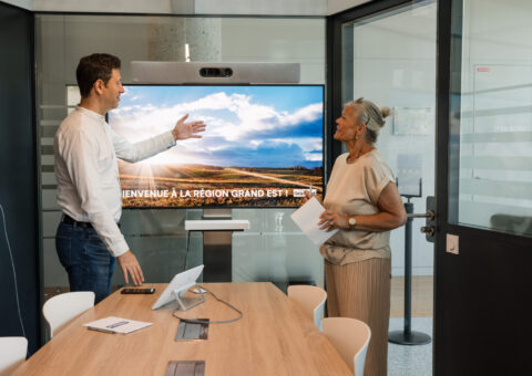 Aide aux grandes entreprises