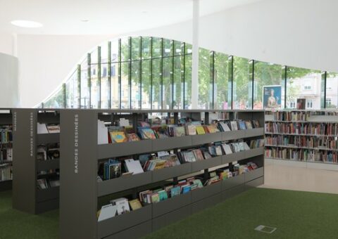 Soutien aux réseaux et centres de ressources spectacle vivant et Arts visuels