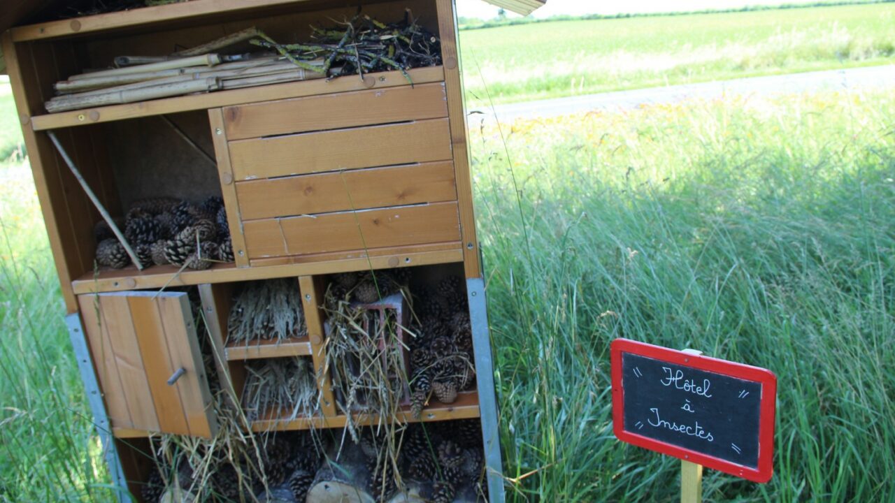 Hôtel à Insectes