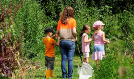 Soutien au service civique en milieu rural