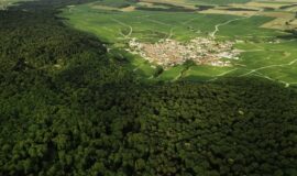 Aide à la plantation et à l’amélioration de la valeur des peuplements forestiers 2018-2020