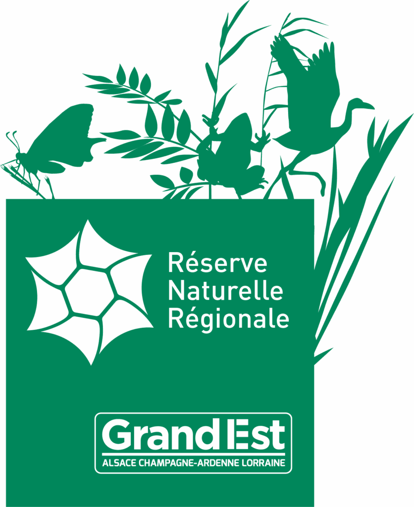 Réserve Naturelle Régionale De L'eiblen Et L'illfeld
