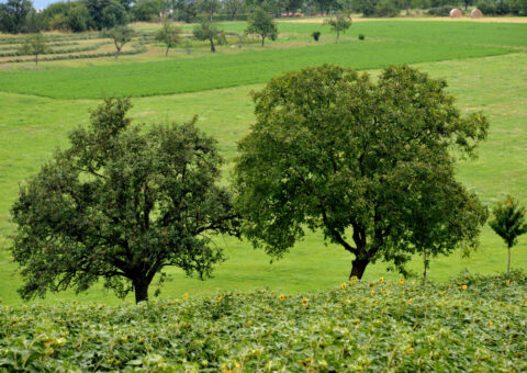 Prévention des risques en agriculture