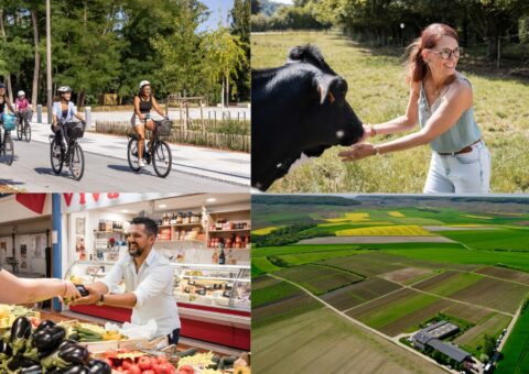 Soutien à l’ingénierie territoriale des Pays / PETR 2025-2027