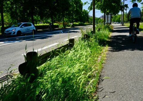 Appel à projets urbanisme durable et santé