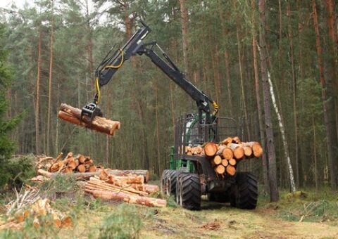 Aide aux entreprises de travaux forestiers