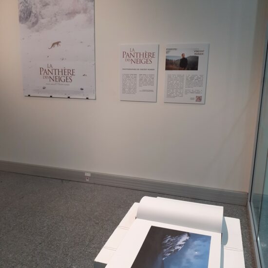 Exposition Vincent Meunier -Strasbourg