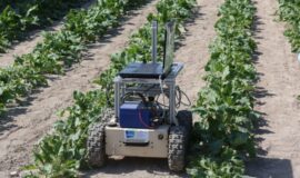 Innovation dans l’agriculture, la viticulture, l’agroalimentaire et la forêt