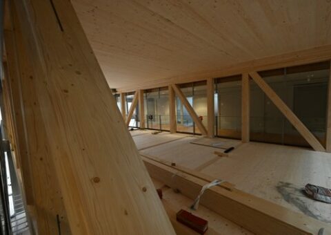 Soutien aux missions d’ingénierie spécialisées pour les bâtiments bois et biosourcés
