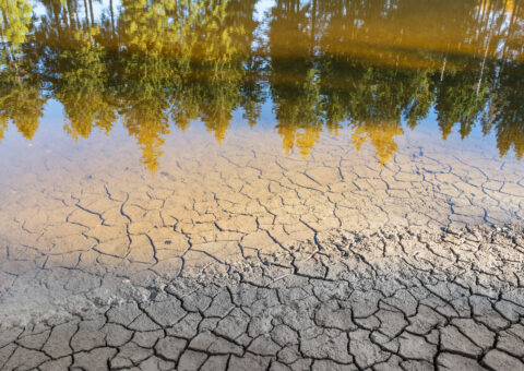 Changement climatique et impact sur les ressources en eau et les milieux naturels