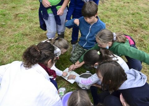 Soutien pluriannuel pour les associations d’éducation à l’environnement
