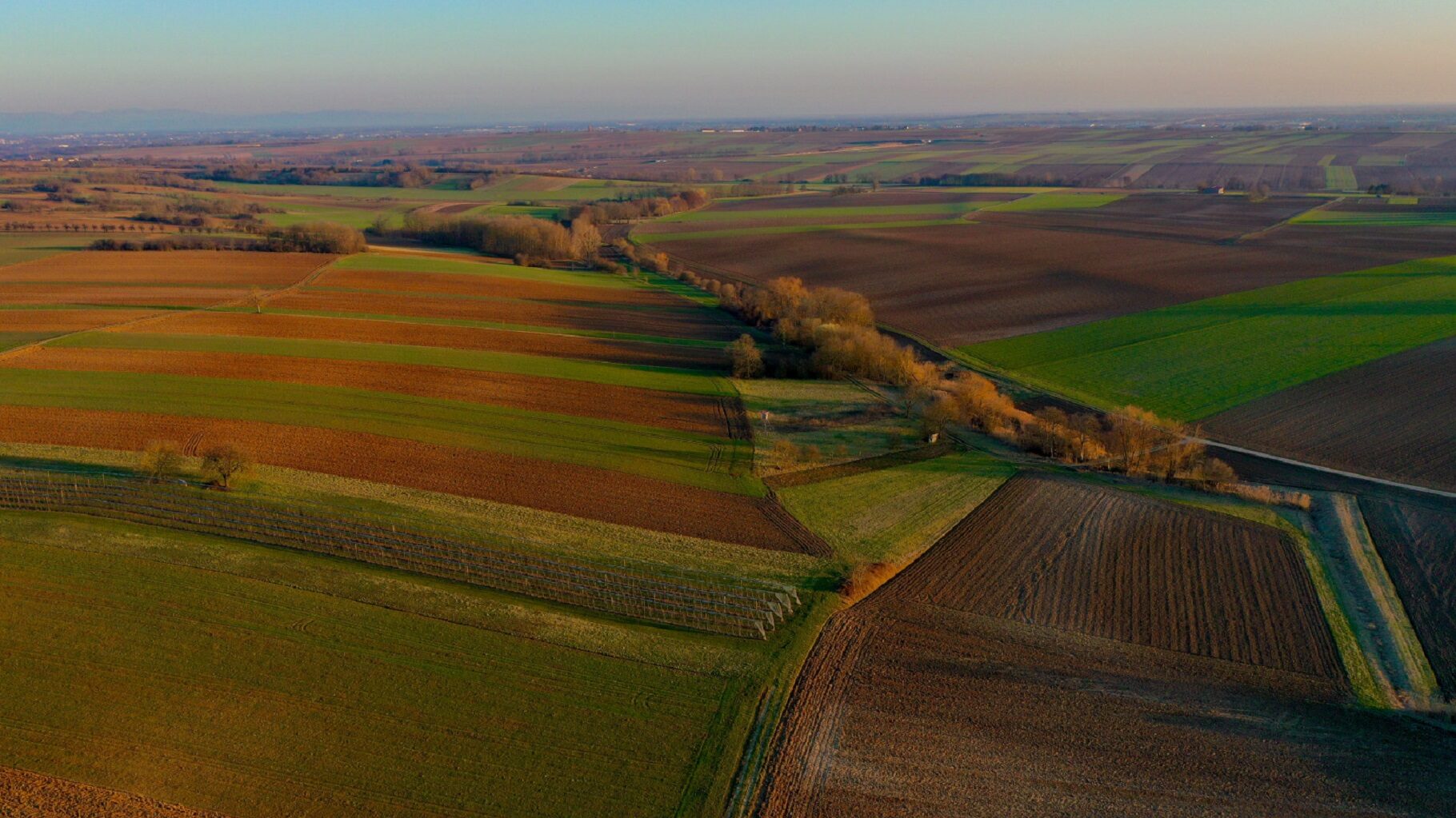 Paysage rural / agricole - vue aerienne sur des champs