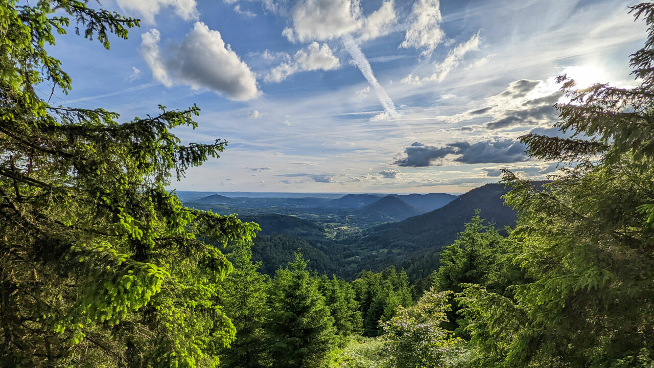 Paysage-Vosges---Samuel-Grebil-_-RGE-(5)