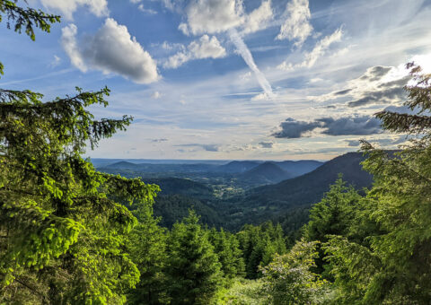 AMI – Accompagnement des dynamiques territoriales d’adaptation au changement climatique dans le Massif des Vosges