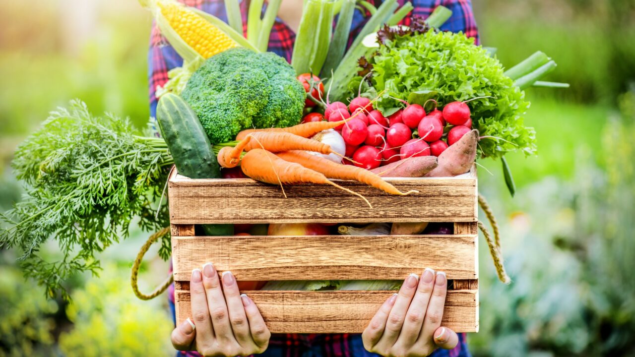 Les contrats de filières agricoles, agroalimentaires et forestières
