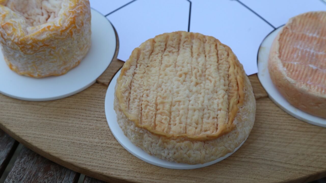 Plateau de fromages (labellises AOP) presente a la fromagerie Mussy a Chaource (10) - epoisses