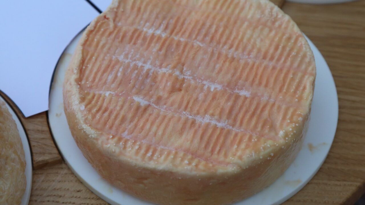 Plateau de fromages (labellises AOP) presente a la fromagerie Mussy a Chaource (10) - munster