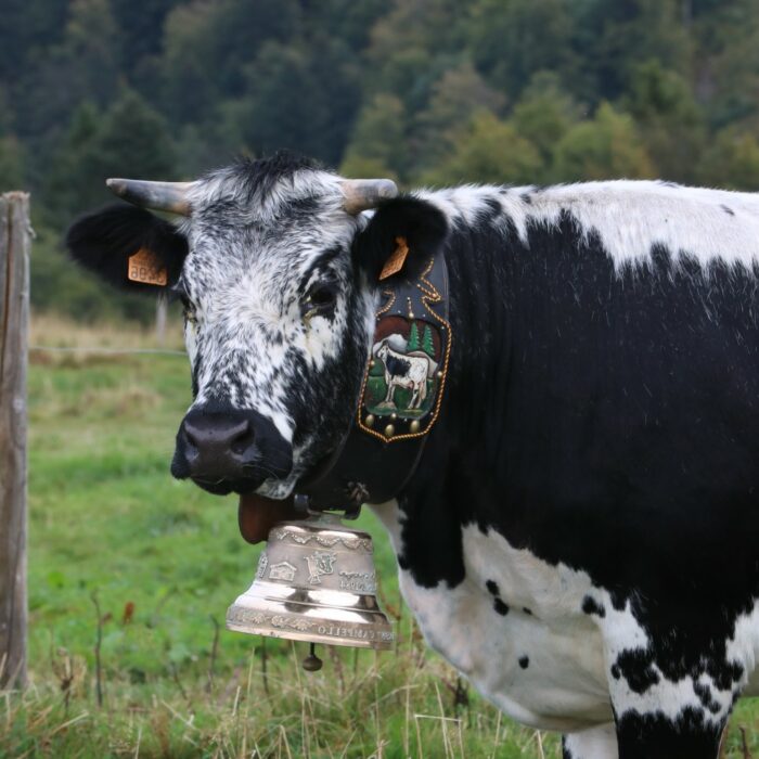 Le Grand Est au Salon International de l’Agriculture