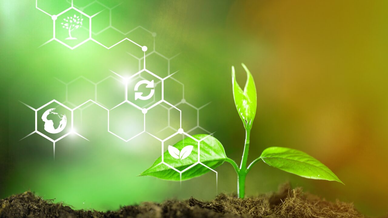 Faire du Grand Est un leader européen de la bioéconomie