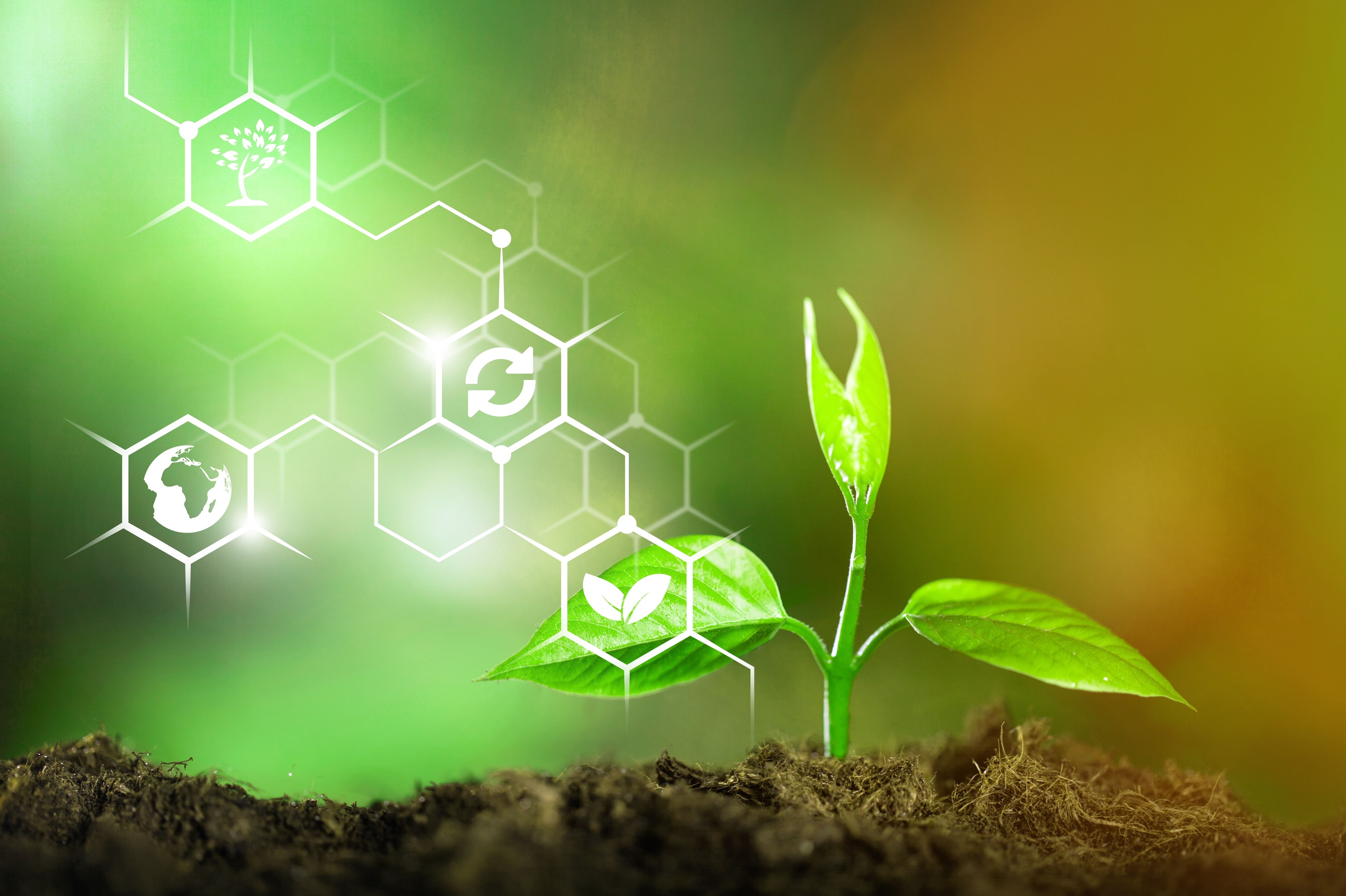 Faire du Grand Est un leader européen de la bioéconomie