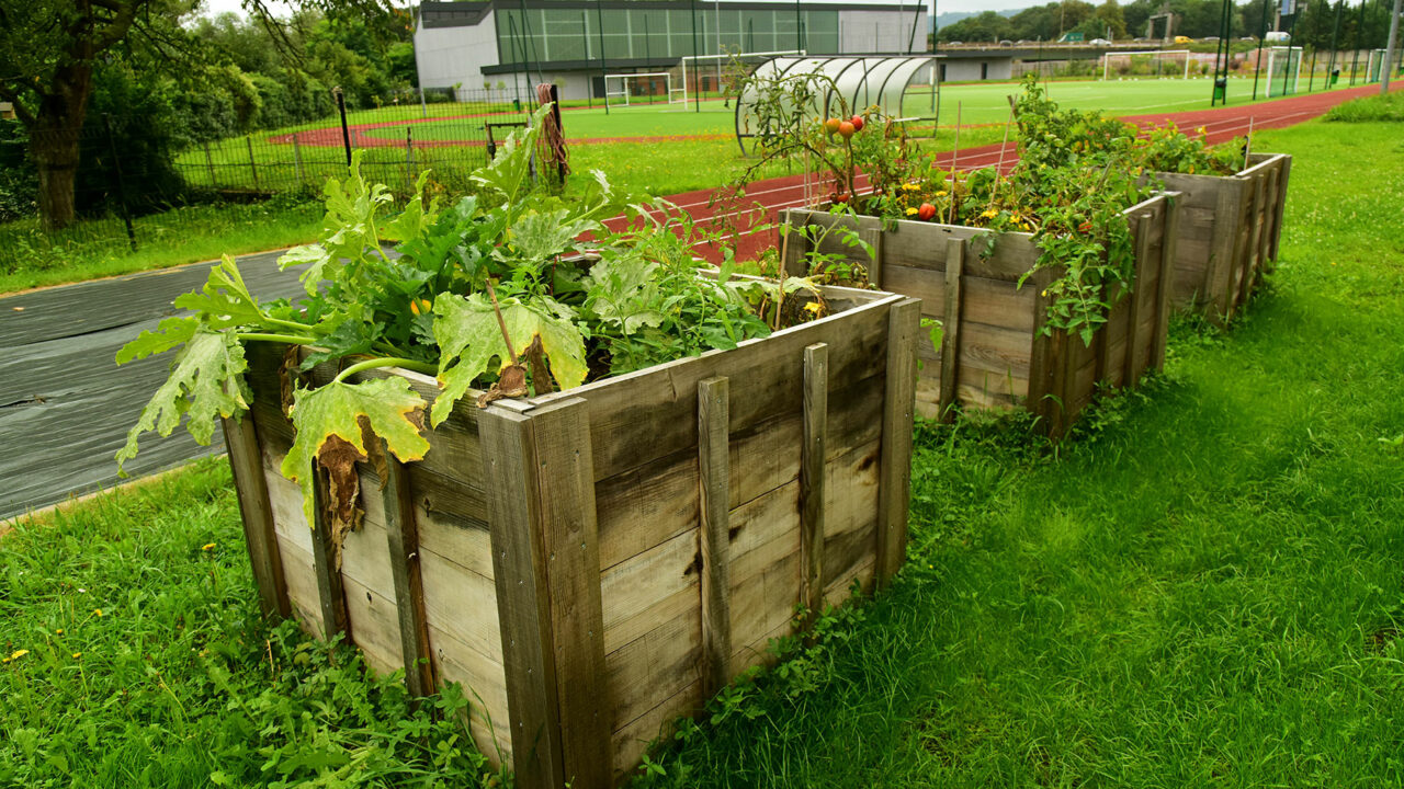 Lycée Cormontaigne à Metz - Projet Mon lycée se met au vert - aménagement d'espaces verts - projets pédagogiques, écologiques