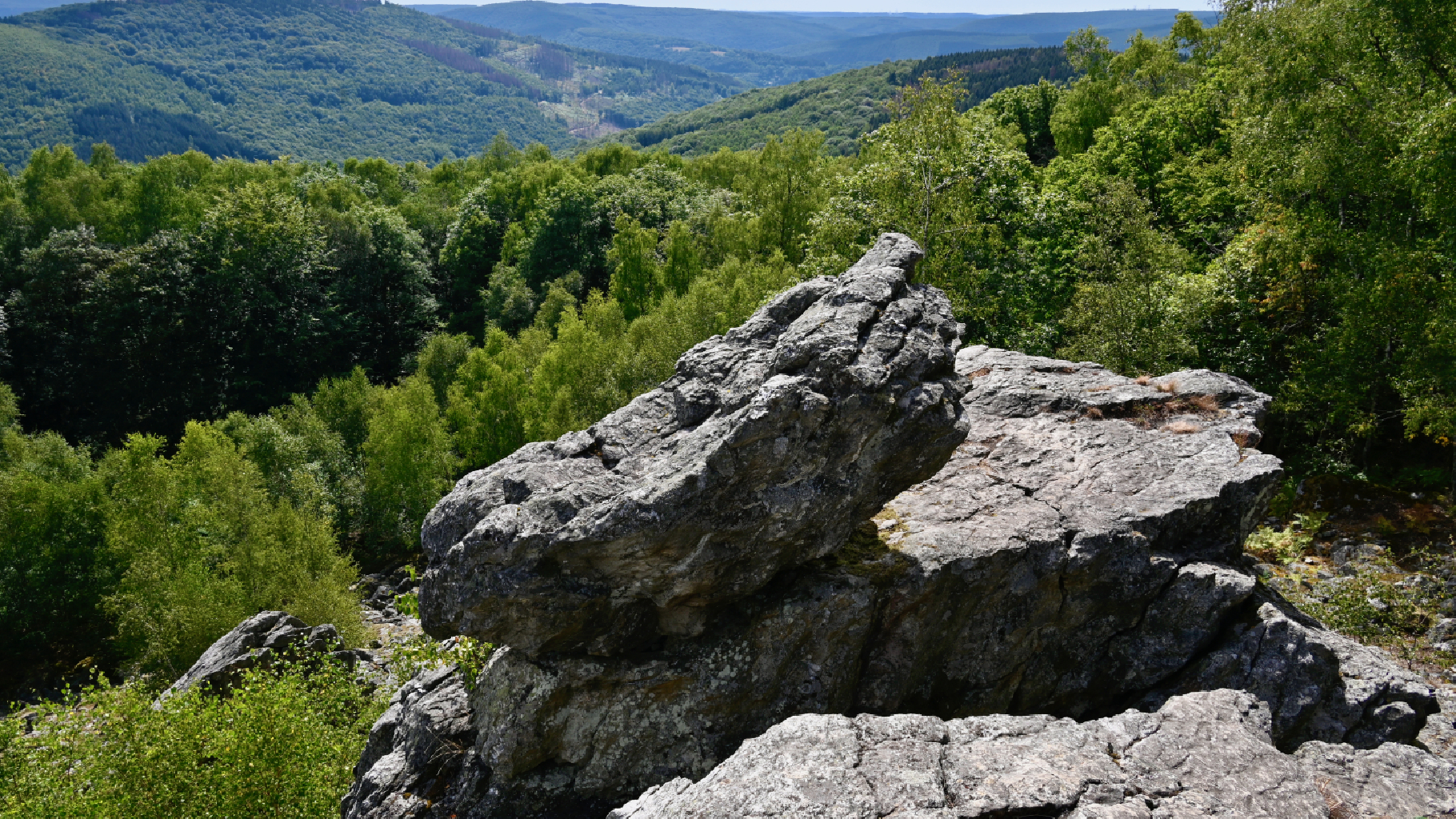 Pacte Ardennes : faire des Ardennes un département d’avenir