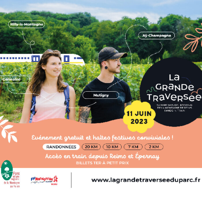 La Grande Traversée du Parc naturel régional de la Montagne de Reims