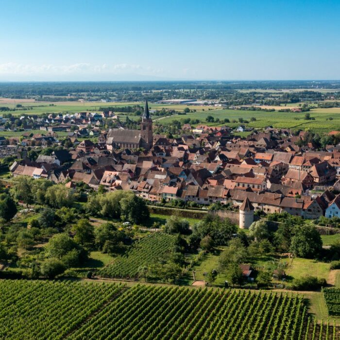 Rencontres territoriales du SRADDET en Grand Est