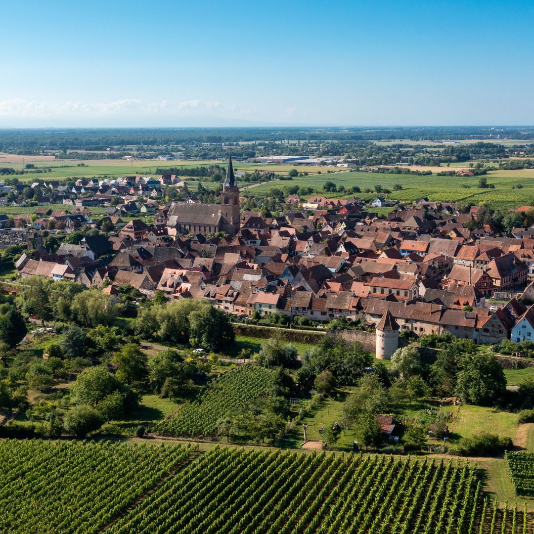 Rencontres territoriales du SRADDET en Grand Est