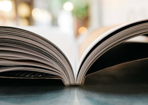 Projets transfrontaliers dans le domaine du livre