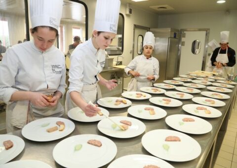 Fonds de soutien des formations par apprentissage