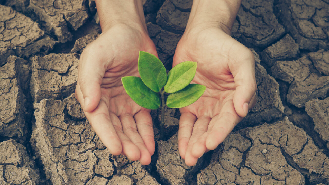45 actions pour faire face au changement climatique