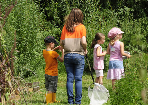 Soutien annuel à destination des associations d’éducation à l’environnement