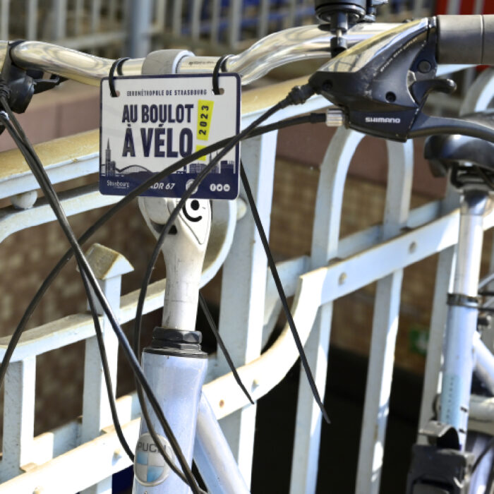 5ème Expo du vélo