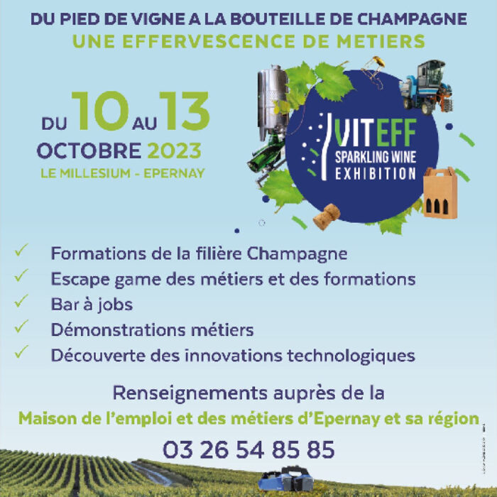 Passerelle des métiers à l’emploi sur le salon VITeff