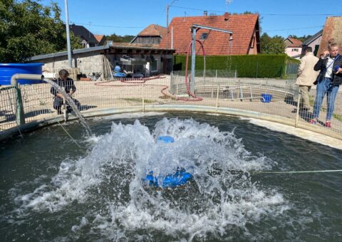 Aide à l’installation en aquaculture et secteur équin