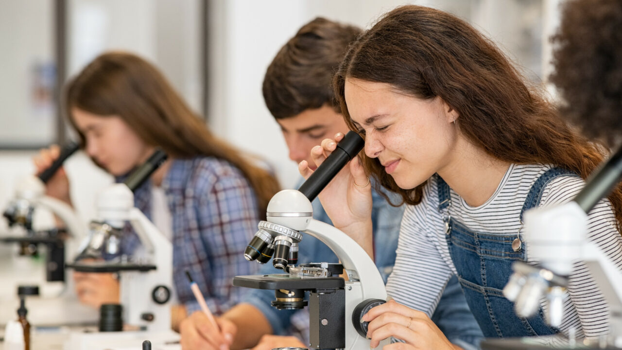 Développement de la Formation et de l’Orientation Professionnelles
