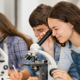 Développement de la Formation et de l’Orientation Professionnelles