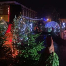 La forêt magique de Noël