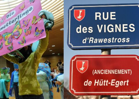 Soutien aux actions et structures en faveur du développement des langues et cultures régionales