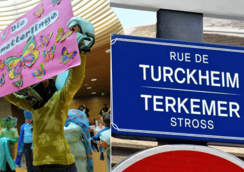 Soutien aux actions et structures en faveur du développement des langues et cultures régionales