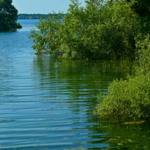 Des Rencontres locales de l’Eau en juin dans tout le Grand Est