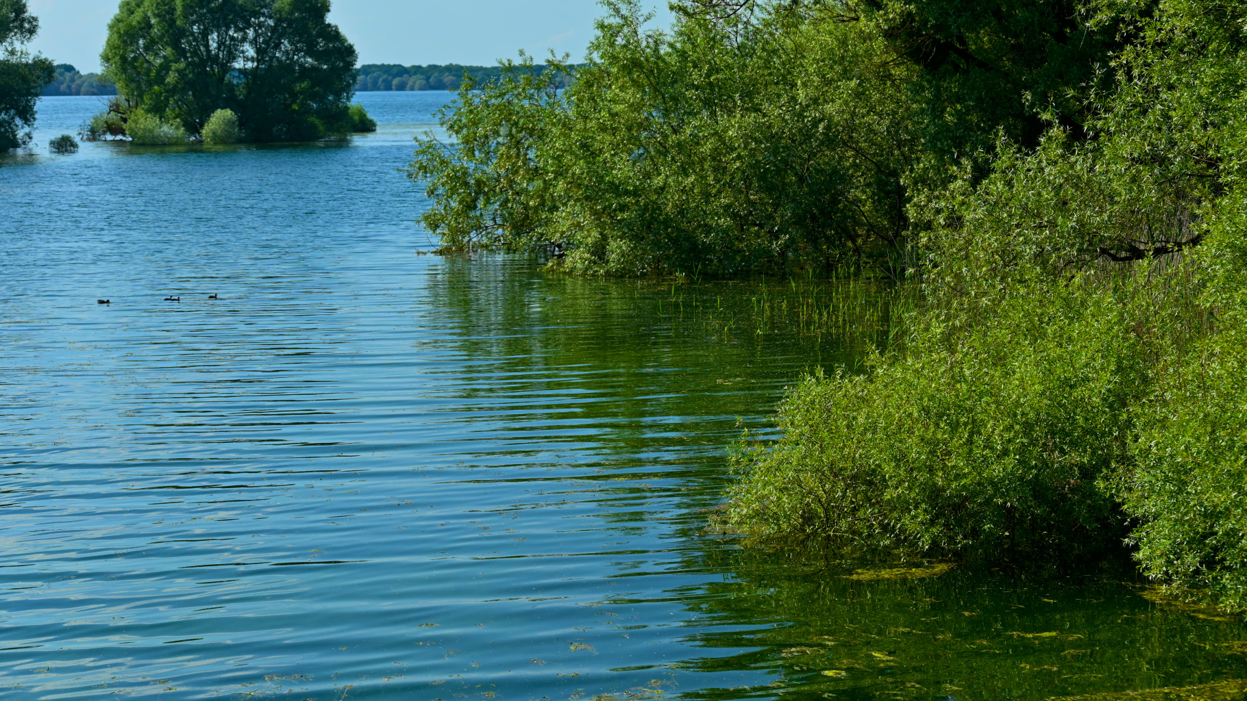 Des Rencontres locales de l’Eau en juin dans tout le Grand Est