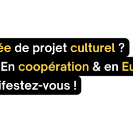 Préparez l’appel Coopération 2025 – Europe Créative